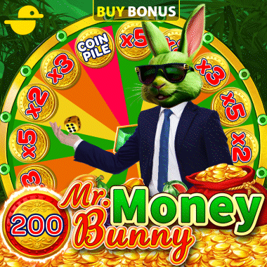 Mr. Money Bunny